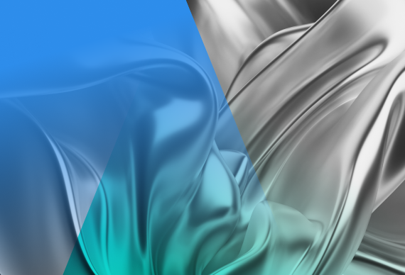 Market Access and Commercialization